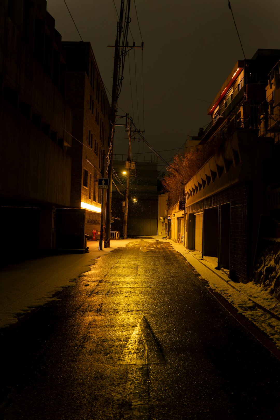 foggy street at night